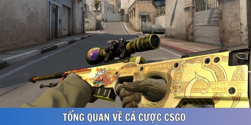 Giới thiệu nhanh về loại hình cá cược CSGO